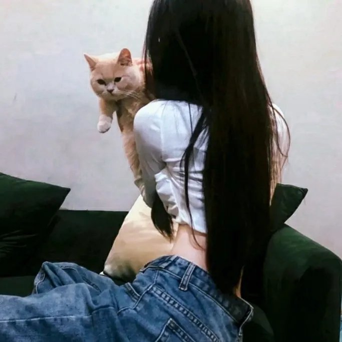 替嫁小才女
