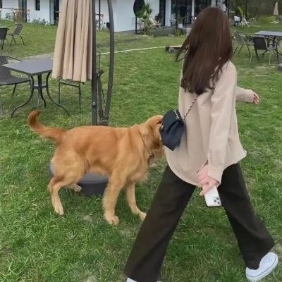 骗徒奇遇记